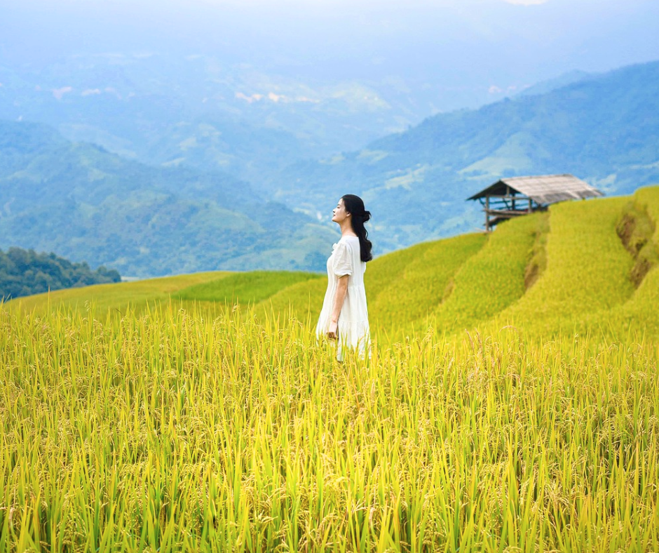 From Hanoi: 8 Day Northern Vietnam Tour with Sapa & Halong Bay